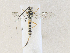  ( - CBG-A35159-F04)  @11 [ ] CreativeCommons - Attribution Share - Alike (2024) CBG Photography Group Centre for Biodiversity Genomics