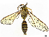  ( - CBG-A35160-C02)  @11 [ ] CreativeCommons - Attribution Share Alike (2024) CBG Photography Group Centre for Biodiversity Genomics