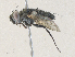  ( - CBG-A35160-F03)  @11 [ ] CreativeCommons - Attribution Share - Alike (2024) CBG Photography Group Centre for Biodiversity Genomics