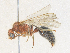  ( - CBG-A35161-F01)  @11 [ ] CreativeCommons - Attribution Share - Alike (2024) CBG Photography Group Centre for Biodiversity Genomics