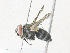  ( - CBG-A35191-D11)  @11 [ ] CreativeCommons - Attribution Share - Alike (2024) CBG Photography Group Centre for Biodiversity Genomics