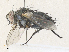  ( - CBG-A35192-B03)  @11 [ ] CreativeCommons - Attribution Share - Alike (2024) CBG Photography Group Centre for Biodiversity Genomics