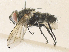  ( - CBG-A35192-H06)  @11 [ ] CreativeCommons - Attribution Share - Alike (2024) CBG Photography Group Centre for Biodiversity Genomics