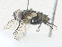  ( - CBG-A35193-A10)  @11 [ ] CreativeCommons - Attribution Share - Alike (2024) CBG Photography Group Centre for Biodiversity Genomics