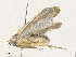 ( - CBG-A35193-G07)  @11 [ ] CreativeCommons - Attribution Share - Alike (2024) CBG Photography Group Centre for Biodiversity Genomics