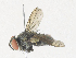  ( - CBG-A35193-G10)  @11 [ ] CreativeCommons - Attribution Share - Alike (2024) CBG Photography Group Centre for Biodiversity Genomics