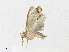  ( - CBG-A35194-B08)  @11 [ ] CreativeCommons - Attribution Share - Alike (2024) CBG Photography Group Centre for Biodiversity Genomics