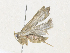  ( - CBG-A35194-D08)  @11 [ ] CreativeCommons - Attribution Share - Alike (2024) CBG Photography Group Centre for Biodiversity Genomics