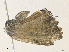  ( - CBG-A35194-G06)  @11 [ ] CreativeCommons - Attribution Share - Alike (2024) CBG Photography Group Centre for Biodiversity Genomics