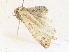 ( - CBG-A35195-E01)  @11 [ ] CreativeCommons - Attribution Share - Alike (2024) CBG Photography Group Centre for Biodiversity Genomics