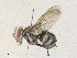  ( - CBG-A35196-D03)  @11 [ ] CreativeCommons - Attribution Share - Alike (2024) CBG Photography Group Centre for Biodiversity Genomics