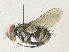 ( - CBG-A35196-D07)  @11 [ ] CreativeCommons - Attribution Share - Alike (2024) CBG Photography Group Centre for Biodiversity Genomics