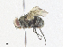  ( - CBG-A36713-G01)  @11 [ ] CreativeCommons - Attribution Share - Alike (2024) CBG Photography Group Centre for Biodiversity Genomics