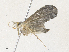  ( - CBG-A36714-B07)  @11 [ ] CreativeCommons - Attribution Share - Alike (2024) CBG Photography Group Centre for Biodiversity Genomics