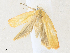  ( - CBG-A36719-C09)  @11 [ ] CreativeCommons - Attribution Share - Alike (2024) CBG Photography Group Centre for Biodiversity Genomics