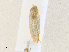  ( - CBG-A36719-D03)  @11 [ ] CreativeCommons - Attribution Share - Alike (2024) CBG Photography Group Centre for Biodiversity Genomics