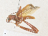  ( - CBG-A36865-B08)  @11 [ ] CreativeCommons - Attribution Share - Alike (2024) CBG Photography Group Centre for Biodiversity Genomics