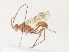  ( - CBG-A36865-G11)  @11 [ ] CreativeCommons - Attribution Share - Alike (2024) CBG Photography Group Centre for Biodiversity Genomics