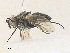  ( - CBG-A36866-D02)  @11 [ ] CreativeCommons - Attribution Share - Alike (2024) CBG Photography Group Centre for Biodiversity Genomics