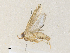  ( - CBG-A36866-E04)  @11 [ ] CreativeCommons - Attribution Share - Alike (2024) CBG Photography Group Centre for Biodiversity Genomics