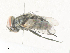  ( - CBG-A36868-A05)  @11 [ ] CreativeCommons - Attribution Share - Alike (2024) CBG Photography Group Centre for Biodiversity Genomics