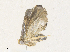  ( - CBG-A36871-E03)  @11 [ ] CreativeCommons - Attribution Share - Alike (2024) CBG Photography Group Centre for Biodiversity Genomics
