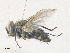  ( - CBG-A36871-E05)  @11 [ ] CreativeCommons - Attribution Share - Alike (2024) CBG Photography Group Centre for Biodiversity Genomics