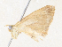  ( - CBG-A38418-H11)  @11 [ ] CreativeCommons - Attribution Share - Alike (2024) CBG Photography Group Centre for Biodiversity Genomics