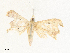  ( - CBG-A38419-C01)  @11 [ ] CreativeCommons - Attribution Share - Alike (2024) CBG Photography Group Centre for Biodiversity Genomics