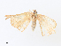  ( - CBG-A30964-A11)  @11 [ ] CreativeCommons - Attribution Share - Alike (2024) CBG Photography Group Centre for Biodiversity Genomics