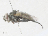  ( - CBG-A31780-F08)  @11 [ ] CreativeCommons - Attribution Share - Alike (2024) CBG Photography Group Centre for Biodiversity Genomics