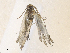  ( - CBG-A31780-H05)  @11 [ ] CreativeCommons - Attribution Share - Alike (2024) CBG Photography Group Centre for Biodiversity Genomics