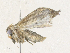  ( - CBG-A34325-D06)  @11 [ ] CreativeCommons - Attribution Share - Alike (2024) CBG Photography Group Centre for Biodiversity Genomics