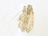  ( - CBG-A34326-A11)  @11 [ ] CreativeCommons - Attribution Share - Alike (2024) CBG Photography Group Centre for Biodiversity Genomics