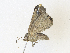  ( - CBG-A34326-E09)  @11 [ ] CreativeCommons - Attribution Share - Alike (2024) CBG Photography Group Centre for Biodiversity Genomics