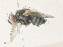  ( - CBG-A34331-H10)  @11 [ ] CreativeCommons - Attribution Share - Alike (2024) CBG Photography Group Centre for Biodiversity Genomics