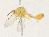  ( - CBG-A35197-A06)  @11 [ ] CreativeCommons - Attribution Share - Alike (2024) CBG Photography Group Centre for Biodiversity Genomics