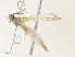  ( - CBG-A36746-H10)  @11 [ ] CreativeCommons - Attribution Share - Alike (2024) CBG Photography Group Centre for Biodiversity Genomics