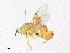  ( - CBG-A36749-B11)  @11 [ ] CreativeCommons - Attribution Share - Alike (2024) CBG Photography Group Centre for Biodiversity Genomics