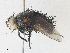  ( - CBG-A36751-F10)  @11 [ ] CreativeCommons - Attribution Share - Alike (2024) CBG Photography Group Centre for Biodiversity Genomics