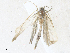  ( - CBG-A36752-B12)  @11 [ ] CreativeCommons - Attribution Share - Alike (2024) CBG Photography Group Centre for Biodiversity Genomics