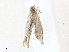  ( - CBG-A36761-C11)  @11 [ ] CreativeCommons - Attribution Share - Alike (2024) CBG Photography Group Centre for Biodiversity Genomics