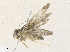  ( - CBG-A36762-A03)  @11 [ ] CreativeCommons - Attribution Share - Alike (2024) CBG Photography Group Centre for Biodiversity Genomics