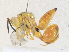  ( - CBG-A36763-F02)  @11 [ ] CreativeCommons - Attribution Share - Alike (2024) CBG Photography Group Centre for Biodiversity Genomics