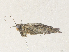  ( - CBG-A36765-E07)  @11 [ ] CreativeCommons - Attribution Share - Alike (2024) CBG Photography Group Centre for Biodiversity Genomics