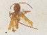  ( - CBG-A36767-D05)  @11 [ ] CreativeCommons - Attribution Share - Alike (2024) CBG Photography Group Centre for Biodiversity Genomics