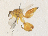  (chalMalaise2656 - CBG-A36858-H02)  @11 [ ] CreativeCommons - Attribution Share - Alike (2024) CBG Photography Group Centre for Biodiversity Genomics