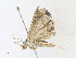  ( - CBG-A36873-D12)  @11 [ ] CreativeCommons - Attribution Share - Alike (2024) CBG Photography Group Centre for Biodiversity Genomics