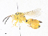  ( - CBG-A36877-A11)  @11 [ ] CreativeCommons - Attribution Share - Alike (2024) CBG Photography Group Centre for Biodiversity Genomics