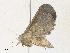  ( - CBG-A36877-D05)  @11 [ ] CreativeCommons - Attribution Share - Alike (2024) CBG Photography Group Centre for Biodiversity Genomics